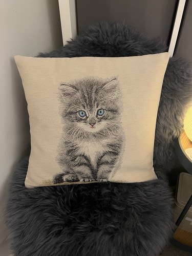 Peggy wilkins tabby cat - tabby,
