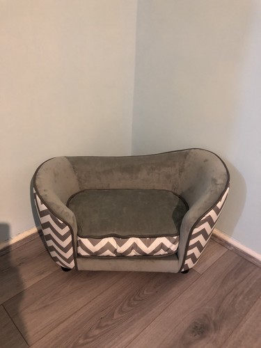 Cat dog elevated - elevated, bed