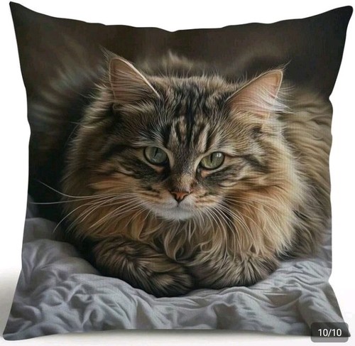 Printed maine coon kitten - 1,