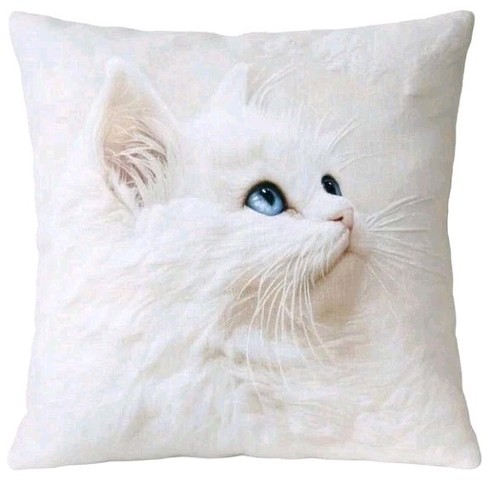 Printed blue eyed - x,