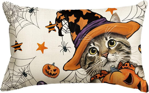Cat pumpkin spider web - cat,
