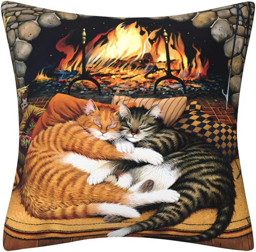 Cat gift cushion - cushion, 45