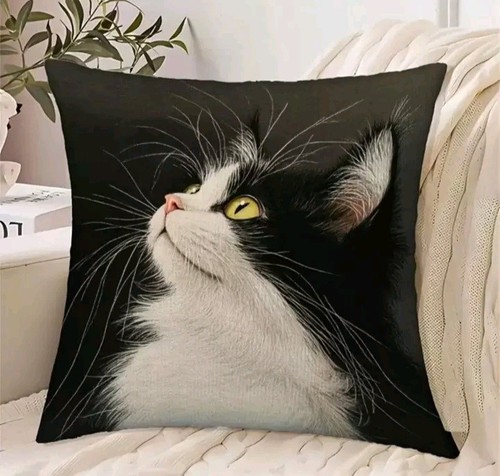 Beautiful black white - beautiful,