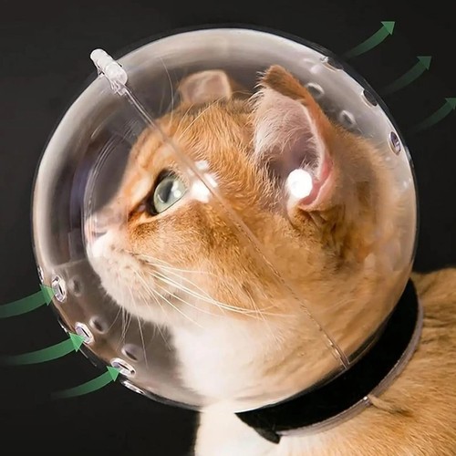 Breathable cat head cover - head,