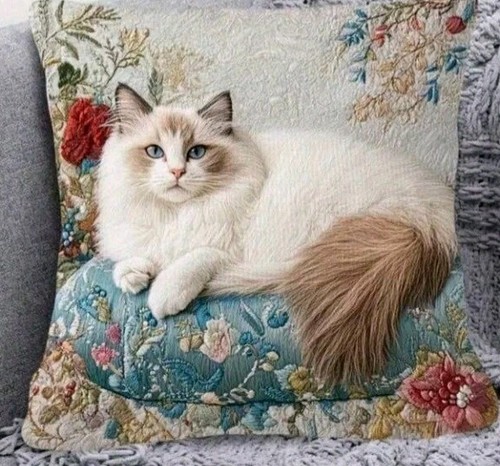 Printed blue eyed cat - eyed,