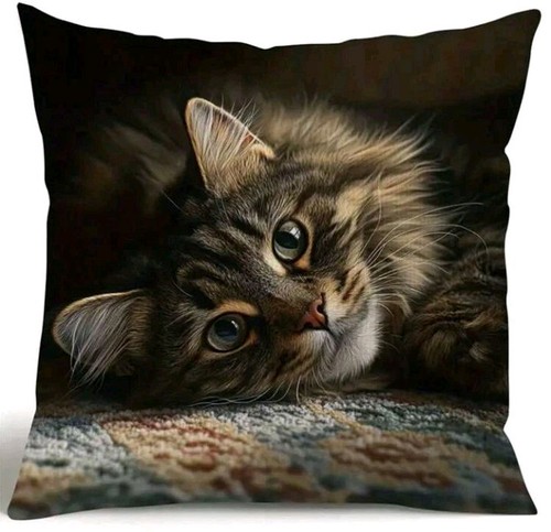 Printed maine coon kitten - 1,
