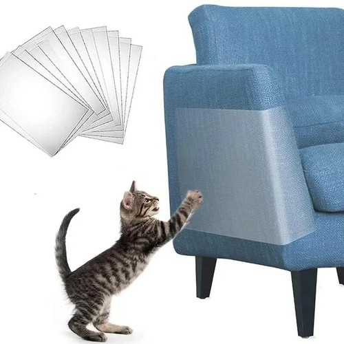 Cat scratch furniture - scratch,
