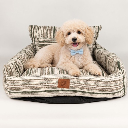 Brown striped dog - cat, sofa