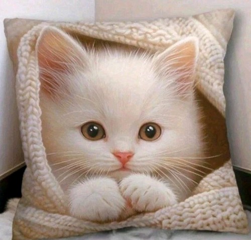 Printed cute kitten - printed,