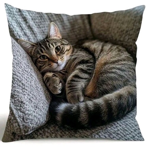 Printed cute tabby - x,