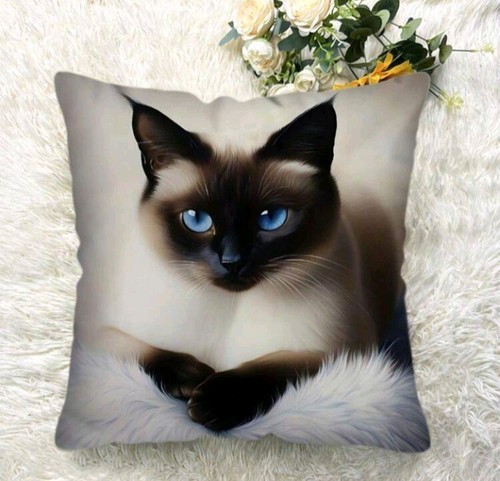 Printed siamese kitten cat - siamese,