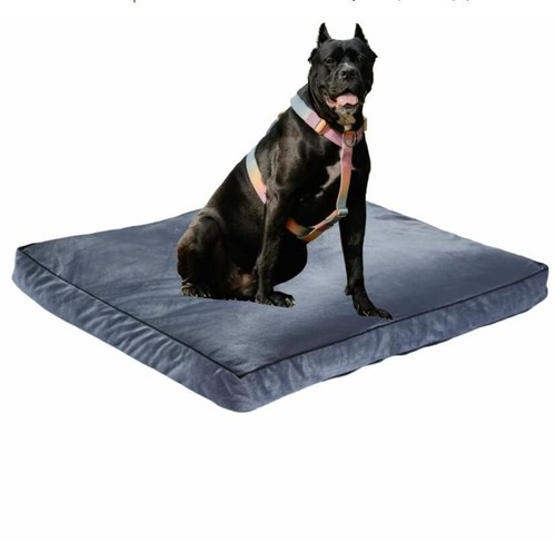 Reversible dog cat - reversible,