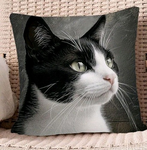 Beautiful black white cat - black,
