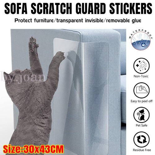 Pet cat anti scratch - pet, guard