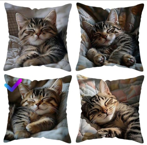 Printed cute tabby kitten - cute,