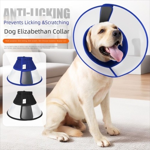 Pet collar cat dog anti - collar,