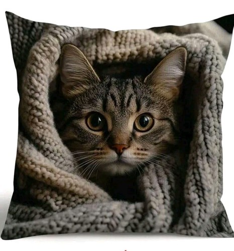 Printed cute tabby kitten - printed,